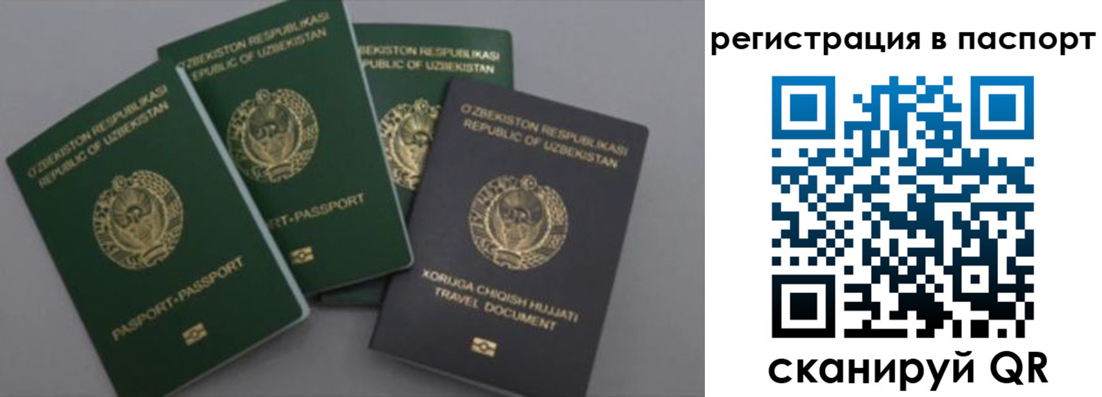 прописка от собственника в Новодвинске
